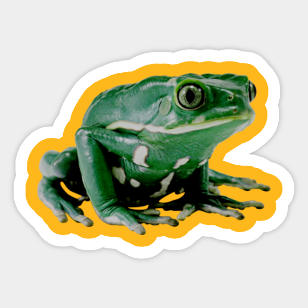 Frog Frog Sticker Teepublic 0495